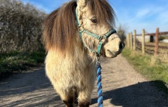 Photo of Bertie