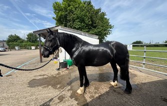 Photo of Hero