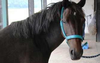 Photo of Kira